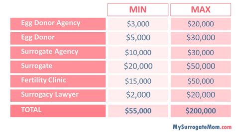 surrogatmamma usa kostnad|Surrogacy Cost in the USA vs. Abroad